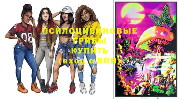 бутират Елабуга