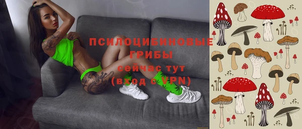 бутират Елабуга