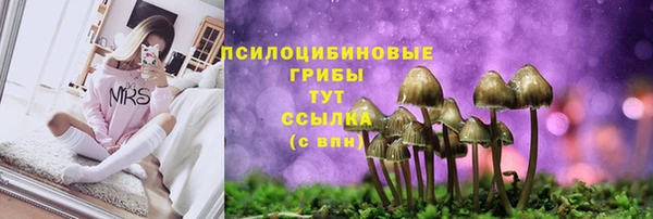 бутират Елабуга